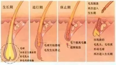 <a href='/suz/' target='_blank'><u>蘇州美萊</u></a>：反季脫毛優(yōu)惠，你值得擁有！