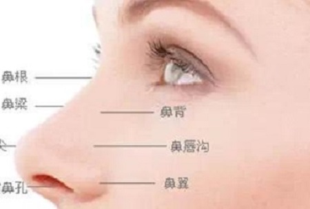 鼻綜合手術(shù)多少錢