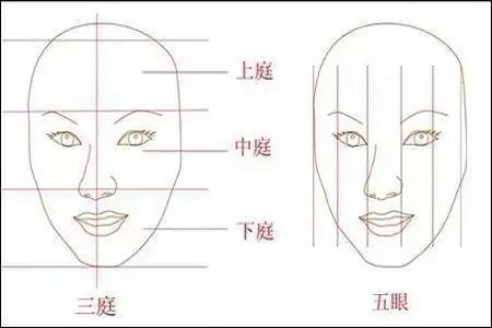 影響翹鼻較重要的地方。