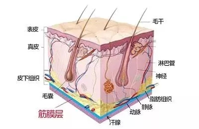 沒有誰能永遠年輕，不老都是保養(yǎng)的早！