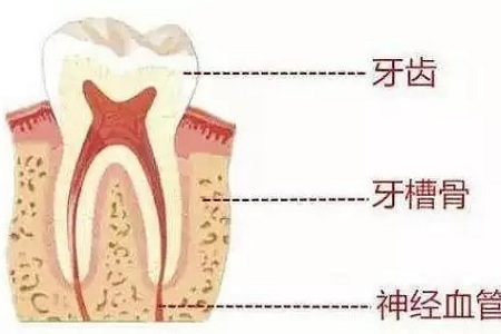 做牙齒矯正 ，真的要趁早！