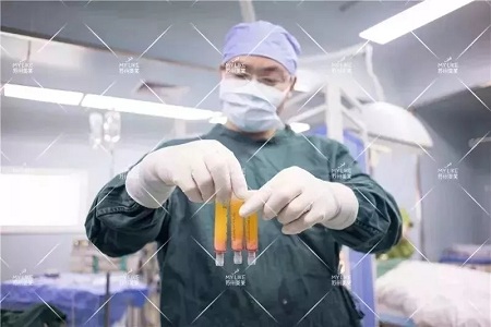 你討厭的脂肪，用在臉上就是寶貝！