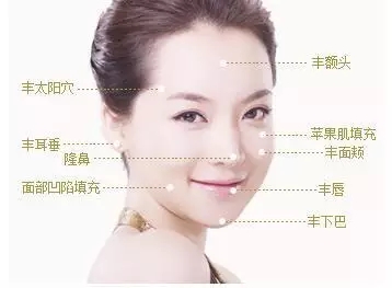 讓明星“一夜回春”的自體脂肪到底適不適合你？