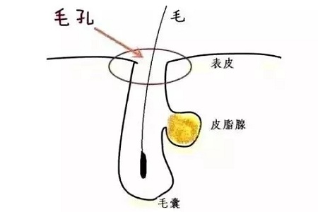 如何在炎熱的夏天，做清爽白凈的小姐姐？