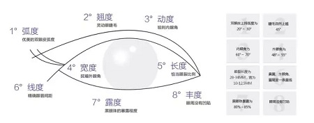 美眼張誠坐診美萊，淺談為什么你的眼睛不夠美？