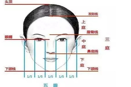 假體隆鼻的“高度”主要決定于哪些因素？
